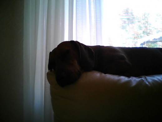 Durmiendo al lado mio, despues de jugar.